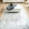 Toros Overdyed Frost Grey Rug Collection