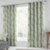 Matteo Green Eyelet 66" X 54" Curtains