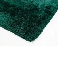 Plush Shaggy Emerald 120cm X 170cm Rug 8 Plush Shaggy Emerald 120cm X 170cm Rug -Housingunits 2084caa678aabbbaf7bd5f1c5d8b055f 1