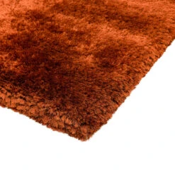 Plush Shaggy Orange 120cm X 170cm Rug -Housingunits 23b4e52ae73ce8e611437233ad5c720a 1