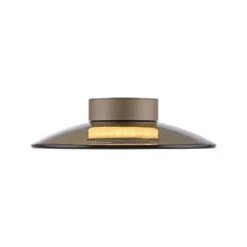 Luna Bronze & Dark Amber Glass 32cm Flush Ceiling And Wall Light -Housingunits 38ab0ed72995ee810cc2b4b80c7ff818