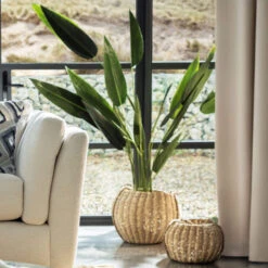 Birds Of Paradise 160cm Artificial Plant