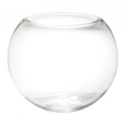Clear Glass Fish Bowl Vase