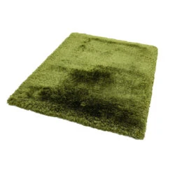 Plush Shaggy Green 160cm X 230cm Rug 7 Plush Shaggy Green 160cm X 230cm Rug -Housingunits 3d451606e7cca1783ced273fad12240a 3