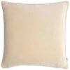 Luxe Large Champagne Velvet Cushion