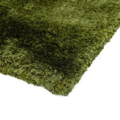 Plush Shaggy Green 160cm X 230cm Rug 9 Plush Shaggy Green 160cm X 230cm Rug -Housingunits 4e4026ed4be132dc0a8cc34554060f9b 3