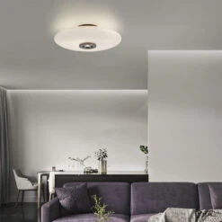Verre Dark Brown & Opal Glass Flush Ceiling And Wall Light