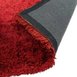 Plush Shaggy Red 160cm X 230cm Rug -Housingunits 6930b898a760af4bd5ea627b94d902a6 3