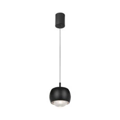 Roller Black Rise & Fall Fish Eye Pendant Light