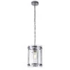 Alonza Chrome 1 Light Pendant With Glass Shade