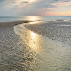 Golden Embrace Canvas