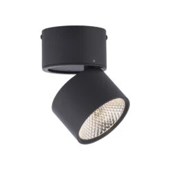 Naik Black 1 Light Ceiling Spotlight -Housingunits 80319cd0718f5fef75fbd06da6f56e02