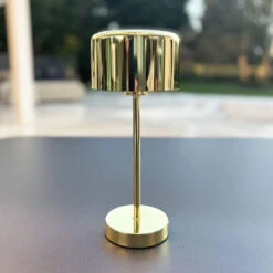 Jeff Polished Gold USB Table Lamp
