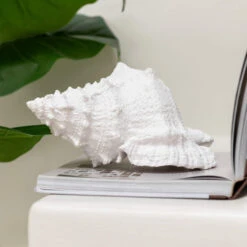White Resin Seashell Decorative Ornament
