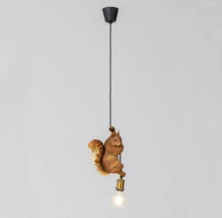 Squirrel Pendant Light -Housingunits 9f2da4e8b3357fa8622aa0129daed035