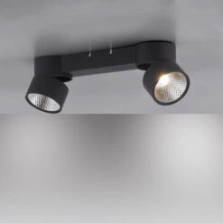Naik Black 2 Light Ceiling Spotlight -Housingunits b0ca9d0606da089adb0031477ffa44f3