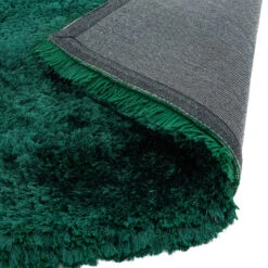 Plush Shaggy Emerald 120cm X 170cm Rug 9 Plush Shaggy Emerald 120cm X 170cm Rug -Housingunits bf075bfc1162e19414929fc93f001f74 1