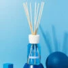 Millefiori Blue Posidonia Reed Diffusers