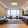 Zoro Wood & Graphite LED Flush Ceiling Light