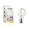 Classic 12W Warm White E27 LED Bulb