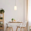 Winston Nickel & Opal Oblong Pendant Light
