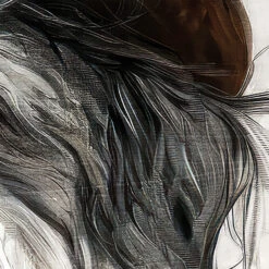 Dog With Hat Canvas -Housingunits f161197de056bf2357bbc7d7a4bd524c