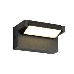 Lord Graphite Black Outdoor Adjustable Wall Light