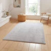 Light Grey Snug Rug Collection