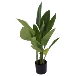 Libra Faux Non Flowering Bird Of Paradise Plant